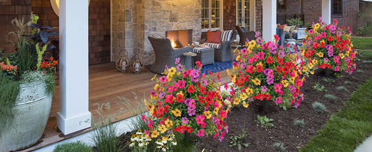 Bring Nature Home: The Secret to an Effortless, Always-Blooming Garden