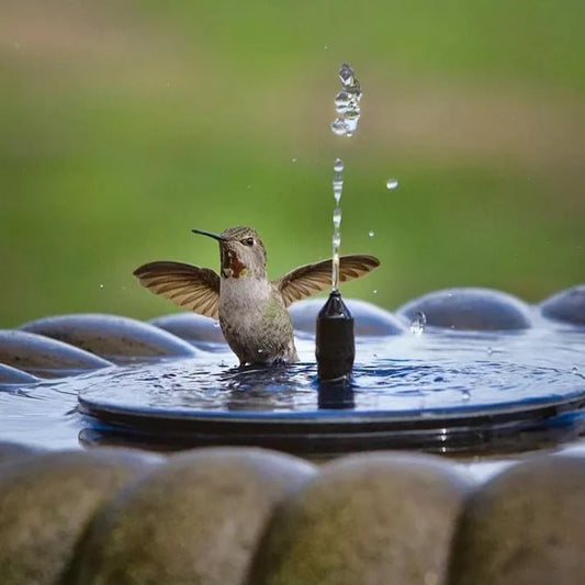 [BUY 2 AND GET AN EXTRA 10% OFF] 🎁☀️Solar-Powered Bird Bath Fountain Pump – 4-in-1 Versatile Nozzle Kit for Garden, Pool & Pond
