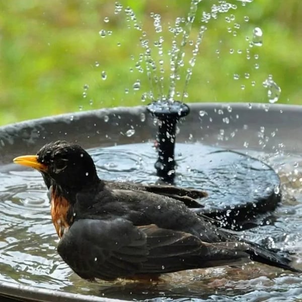 [BUY 2 AND GET AN EXTRA 10% OFF] 🎁☀️Solar-Powered Bird Bath Fountain Pump – 4-in-1 Versatile Nozzle Kit for Garden, Pool & Pond