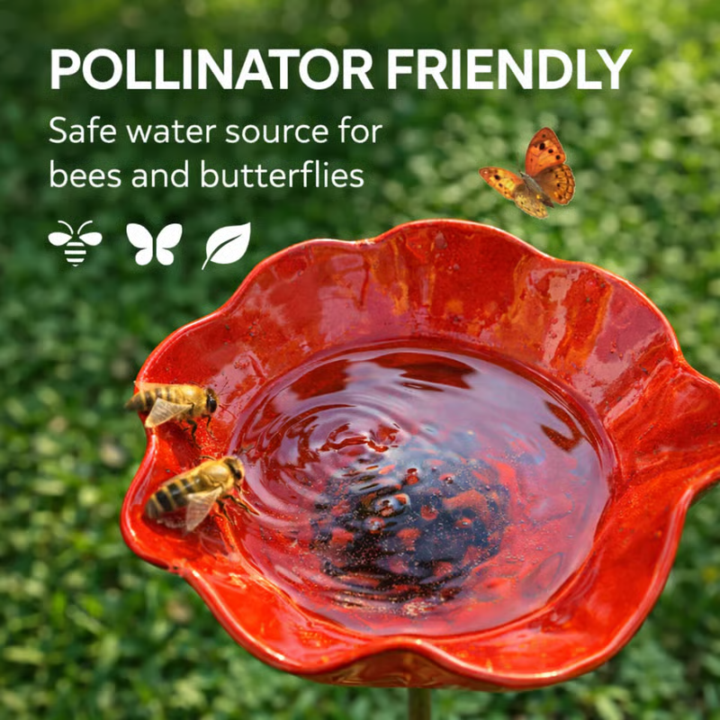 🐦2-in-1 Mini Bird Bath & Pollinator Water Station – ✨Attract Bees, Butterflies & Birds to Your Garden