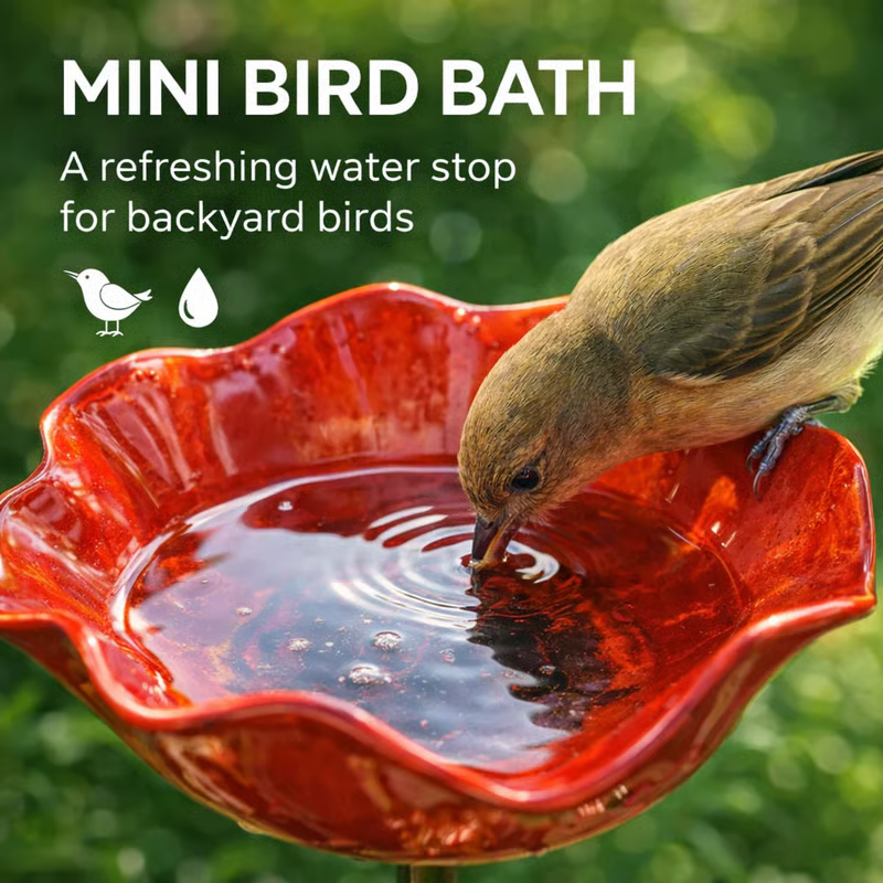 🐦2-in-1 Mini Bird Bath & Pollinator Water Station – ✨Attract Bees, Butterflies & Birds to Your Garden